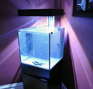maniac verband Scheiden Verlichting boven het aquarium