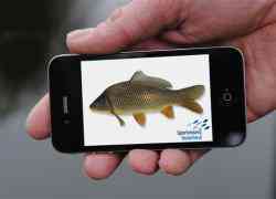 Vissengids App van Sportvisserij Nederland