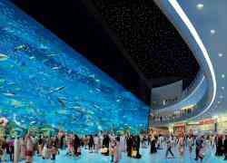 Dubai: lek in mega aquarium gedicht
