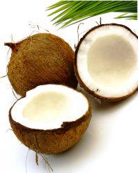 Kokosnoten