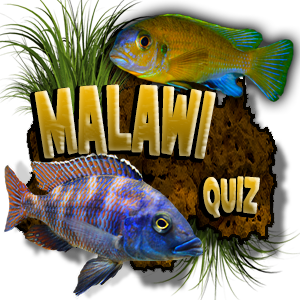 Malawi Aquarium Vissen Quiz